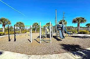 3908 Mossy Limb Ct, Palmetto, FL 34221 - Photo 23