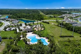 3908 Mossy Limb Ct, Palmetto, FL 34221 - Photo 31