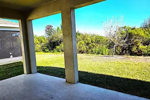 3908 Mossy Limb Ct, Palmetto, FL 34221 - Photo 17
