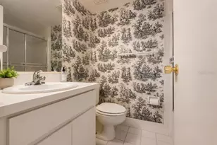 123 Cypress Ln, Oldsmar, FL 34677 - Photo 11