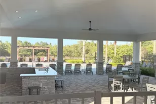 17209 English Chestnut Wy, Land O Lakes, FL 34638 - Photo 29