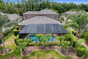 19406 Butterwood Ln, Lutz, FL 33558 - Photo 51