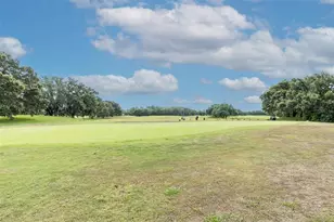 5436 Championship Cup Ln, Spring Hill, FL 34609 - Photo 67
