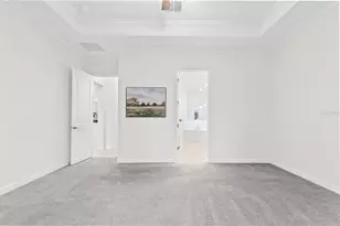 12211 Violet Jasper Dr, Parrish, FL 34219 - Photo 29