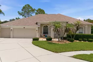 25651 Ferdinand Ct, Wesley Chapel, FL 33544 - Photo 53