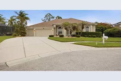 25651 Ferdinand Court, Wesley Chapel, FL 33544 - Photo 1