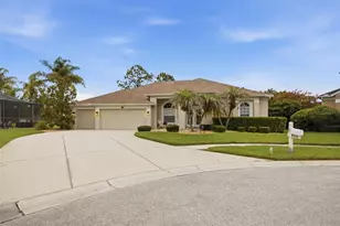 25651 Ferdinand Ct, Wesley Chapel, FL 33544 - Photo 1