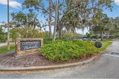 203 Driftwood Drive W, Palm Harbor, FL 34683 - Photo 41