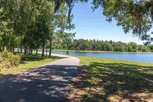13893 Stansil Ave, Odessa, FL 33556 - Photo 55