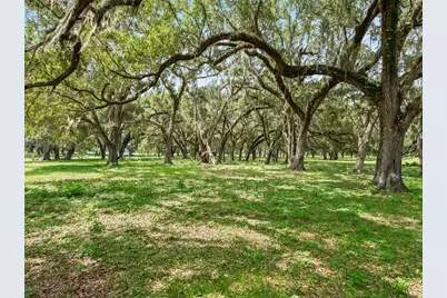 Lot 12 Cr 543, Bushnell, FL 33513 - Photo 13