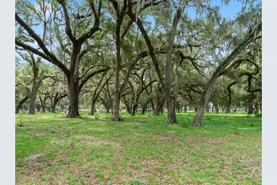 Lot 12 Cr 543, Bushnell, FL 33513 - Photo 15