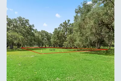 Lot 12 Cr 543, Bushnell, FL 33513 - Photo 9