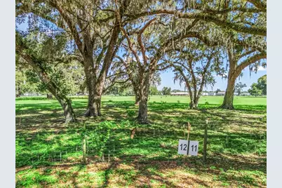 Lot 12 Cr 543, Bushnell, FL 33513 - Photo 3