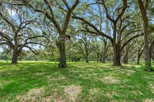 Lot 12 Cr 543, Bushnell, FL 33513 - Photo 1