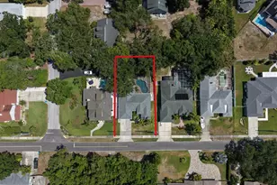 1131 Virginia Ave, Palm Harbor, FL 34683 - Photo 31