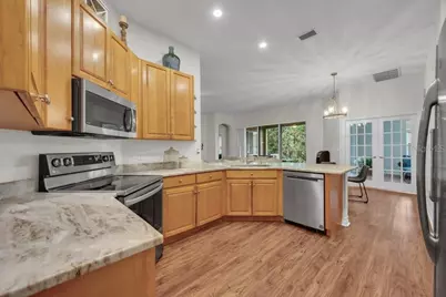 16135 Bridgedale Drive, Lithia, FL 33547 - Photo 11
