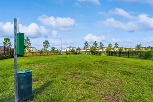 31357 Amberview Bnd, Wesley Chapel, FL 33545 - Photo 61
