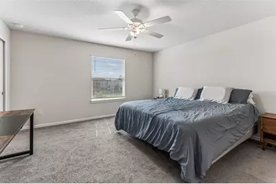 31357 Amberview Bend, Wesley Chapel, FL 33545 - Photo 21