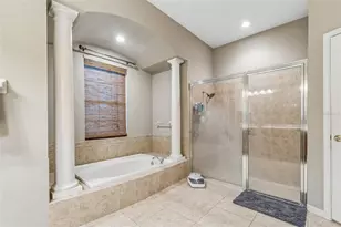 23305 Gracewood Cir, Land O Lakes, FL 34639 - Photo 29