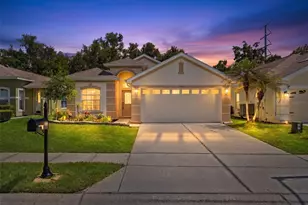 2913 Banyan Hill Ln, Land O Lakes, FL 34639 - Photo 1