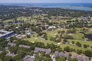 50 Pelican Pl, Clearwater, FL 33756 - Photo 29