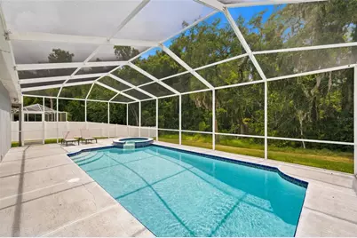 29432 Forest Glen Drive, Wesley Chapel, FL 33543 - Photo 45