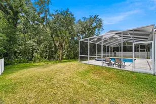 29432 Forest Glen Dr, Wesley Chapel, FL 33543 - Photo 53