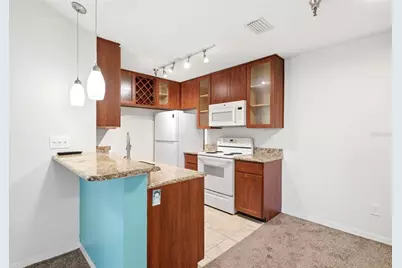 10263 Gandy Boulevard N #408, Saint Petersburg, FL 33702 - Photo 9