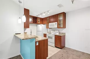 10263 Gandy Blvd N, Saint Petersburg, FL 33702 - Photo 9