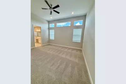 32630 Neroli Street, Wesley Chapel, FL 33543 - Photo 13