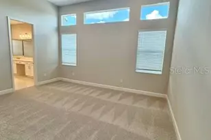 32630 Neroli St, Wesley Chapel, FL 33543 - Photo 13