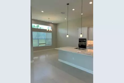 32630 Neroli Street, Wesley Chapel, FL 33543 - Photo 7