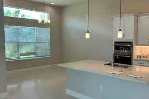 32630 Neroli St, Wesley Chapel, FL 33543 - Photo 7