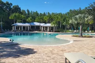 19455 Redwood Point Dr, Tampa, FL 33647 - Photo 43