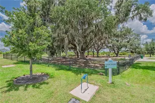 9632 Surrey Rose Dr, San Antonio, FL 33576 - Photo 23