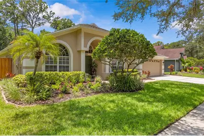 10522 Chambers Drive, Tampa, FL 33626 - Photo 3