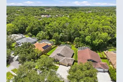 10522 Chambers Drive, Tampa, FL 33626 - Photo 49