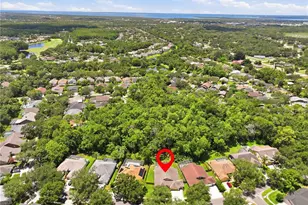 10522 Chambers Dr, Tampa, FL 33626 - Photo 53
