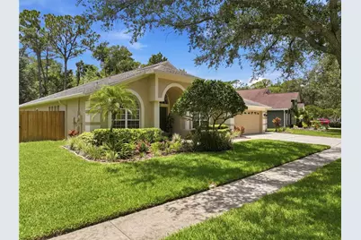 10522 Chambers Drive, Tampa, FL 33626 - Photo 3