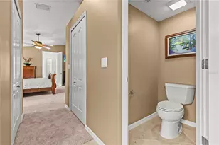 10522 Chambers Dr, Tampa, FL 33626 - Photo 19