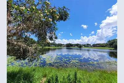 708 Warren Road, Lutz, FL 33548 - Photo 19