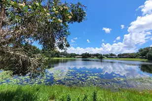 708 Warren Rd, Lutz, FL 33548 - Photo 19