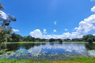 708 Warren Rd, Lutz, FL 33548 - Photo 1