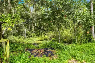 4617 Debbie Ln, Lutz, FL 33559 - Photo 47