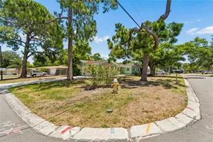 1357 S Evergreen Ave, Clearwater, FL 33756 - Photo 75