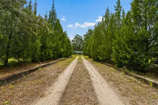 11094 SW 51st Dr, Webster, FL 33597 - Photo 3