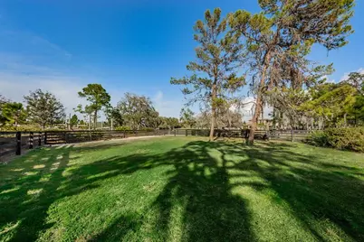 13125 Batten Lane, Odessa, FL 33556 - Photo 71
