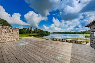 13125 Batten Ln, Odessa, FL 33556 - Photo 95