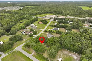 25520 Oaks Blvd, Land O Lakes, FL 34639 - Photo 21