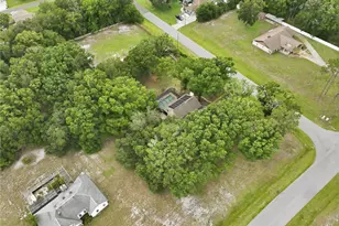 25520 Oaks Blvd, Land O Lakes, FL 34639 - Photo 11
